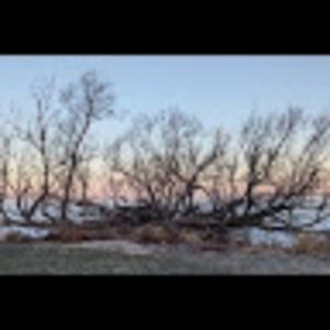 Meet your Posher, Elliot